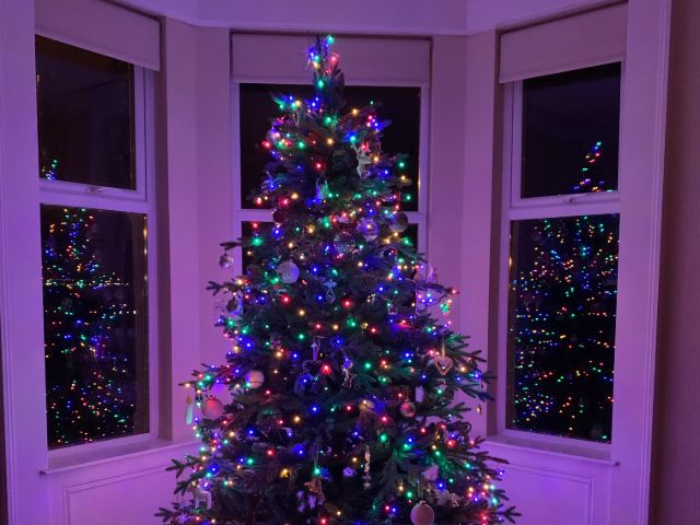 Christmas Tree In Front Of Window